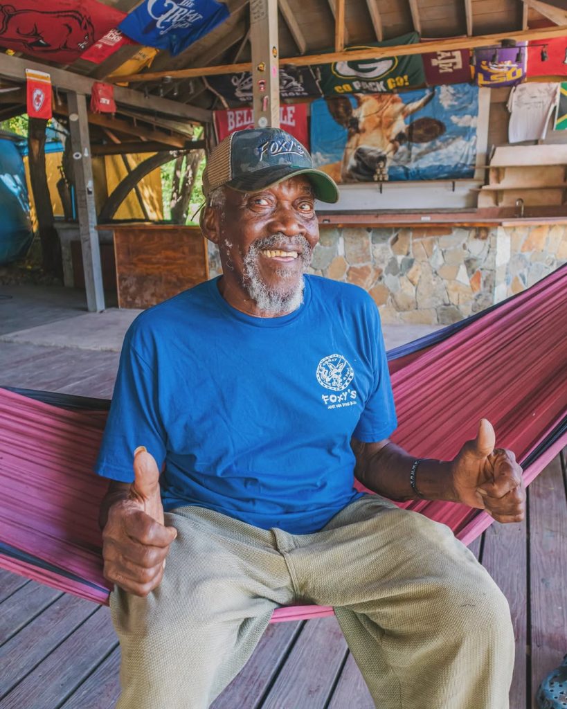 Foxy Portrait 1 819x1024